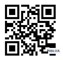9bloxqrcode.JPG
